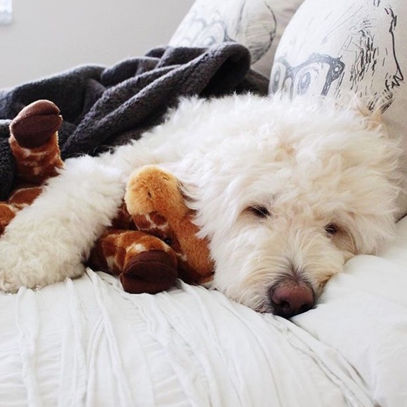 m e e t m e š - Picture 2 of 3